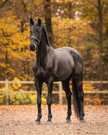 ØSTBJERG'S SACRÉ COEUR