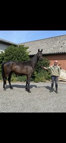 BORBJERGS CHARMING BOY