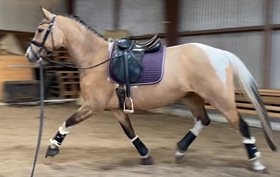 HINDBÆRHAVENS MILUXIE