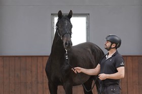 ARKA VON ROSING