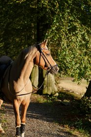 MISS MALOUE HØJGÅRD 