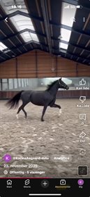 AAGAARDEN’S ST.SUNNEVA 