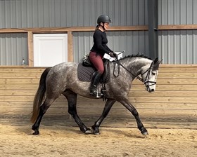 LANDLYSTS BUTTER CUP