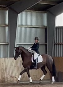 DAM'S BLOSSOM BEAUTY