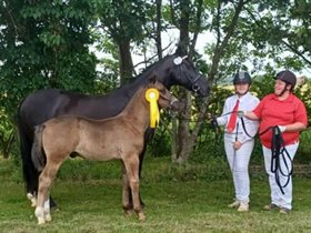 VESTERLØKKE'S LEONARDO