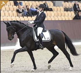 HESSELHOEJ.DK AUKTION