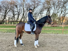 VAASAGERGAARDS CORNETTO