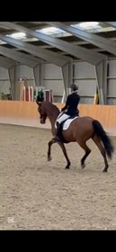 CHICANDO RAGERSHØJGAARD