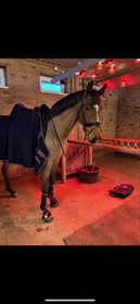 MARIENDALS AL-PARI M