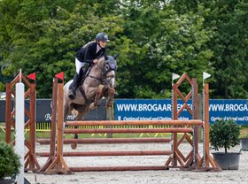 TORPEGAARDS SWEET BUT PSYCHO