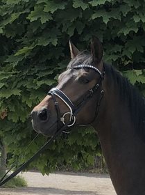 VALENTINO M
