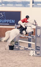 BJERREGAARDS SIR HERKULES (DNK)