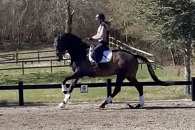 SLUTTERUPGAARD SANDY