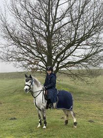 GREENHILLS (DK) IRON CELLO (DK)