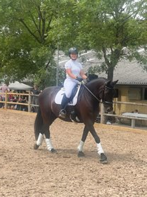 POPPELGÅRDENS FREE FAZ 