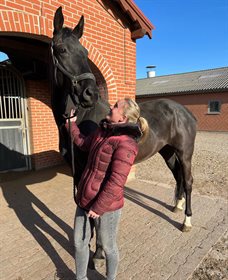 ELLINGGAARDBYS FABIELLA