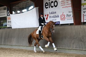 HESSELHOEJ.DK AUCTION