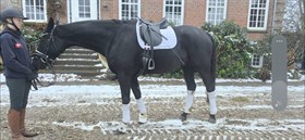 LYKKESHOLMS DARK DESIGN