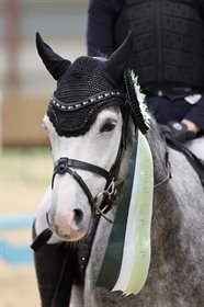 CLAUSHOLM LORD JIGSAW