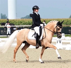 BIEBOSSCHEN DOLINO EC