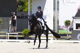 BLUE HORS VICTOR
