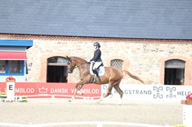 BØGEGÅRDENS MEMPHIS