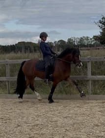 DANKIRKEBY DAFYDD (DNK)