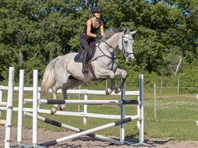 HALDGÅRDENS BASENAT