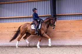 GØRKLINTGÅRDS SALERNO