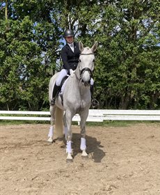 HØJVANGS LADY MADONNA