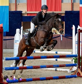 LILLEVANGS DARK DUKE