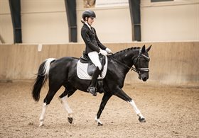 PEDERSMINDE ANNABELL