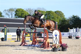 LILLE SANDAGERS AMARETTO