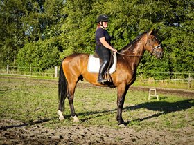 LANGEMOSEGAARDS DAYTOWN