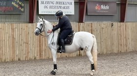 VALIENTE NADALES II