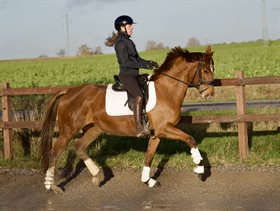 KATRINELUND PARTYGIRL