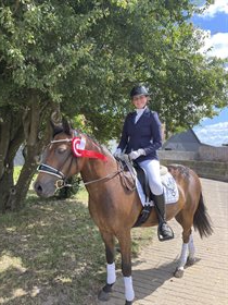 SUPREME COA (LINELYST SALENTO)