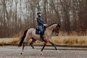 STALD LILLEGÅRD CURLY CURT