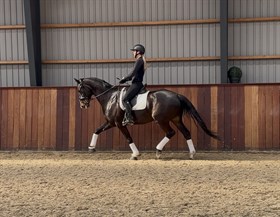 ELMEGAARDENS AVENTADOR