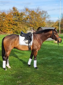 HØJGAARDENS FLORENCE