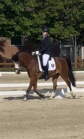 STALD GASSUMS JACKPOT