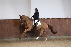 STAGSTED'S OMBERTO