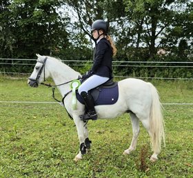 KIRKELODGAARD'S MONTOYA