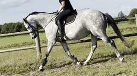 HØJERSMINDES SPÆTTE JETTE