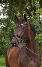 KAMAR'S FAIR MISS MONARC