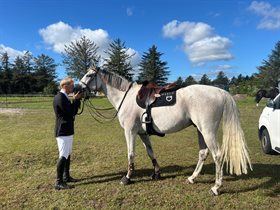 GREDSTEDGAARDS SPARTAN