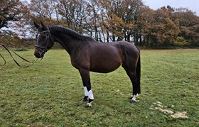 STENAGERS LADY ATHENA