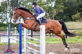 NØRGAARDS HEART BREAKS