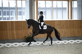 ATTERUPGAARDS JAYDEN