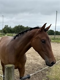 FIRST AND FINEST K